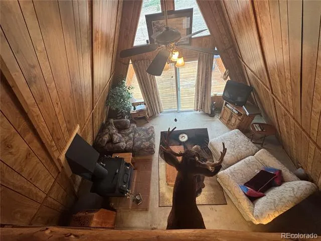 15 Dogie Trail Florissant, CO 80816