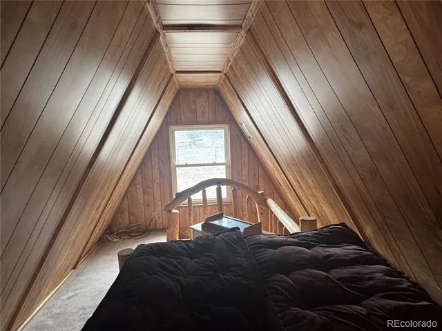 15 Dogie Trail Florissant, CO 80816