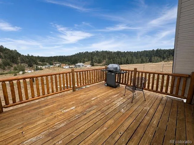 15 Dogie Trail Florissant, CO 80816