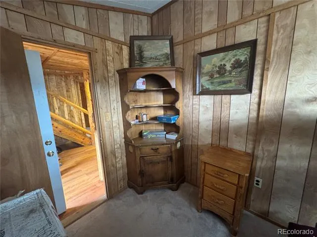 15 Dogie Trail Florissant, CO 80816