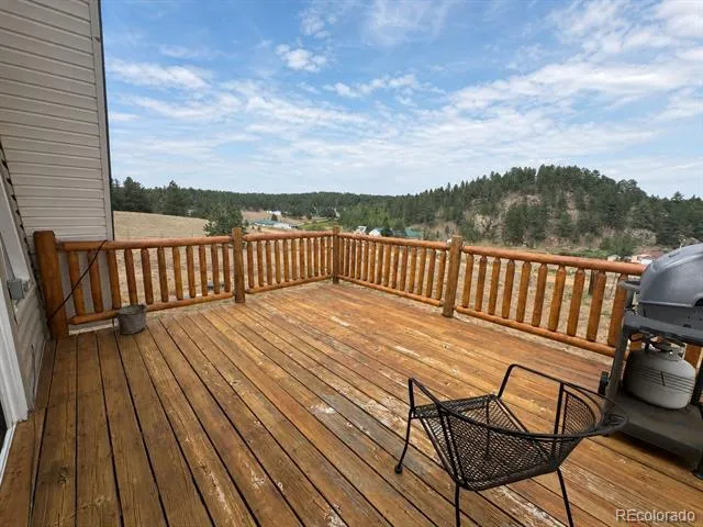 15 Dogie Trail Florissant, CO 80816
