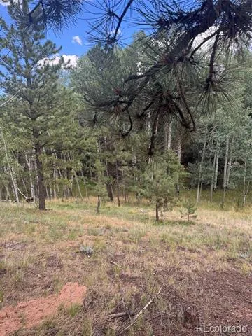 40 Sequoia Trail Woodland Park, CO 80863