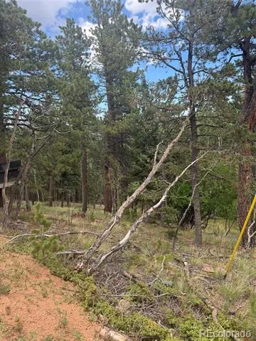 40 Sequoia Trail Woodland Park, CO 80863