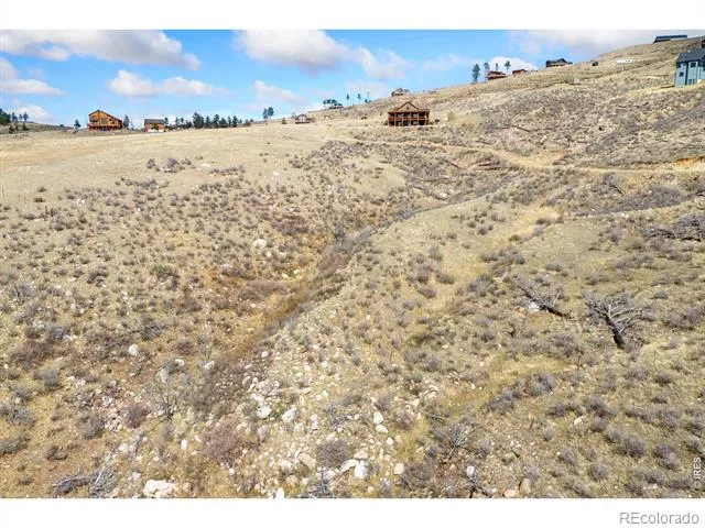 170 Little Bald Mountain Court Livermore, CO 80536