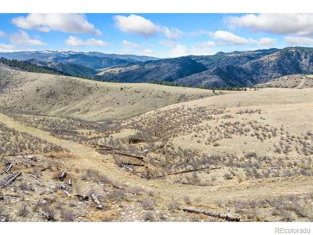 170 Little Bald Mountain Court Livermore, CO 80536