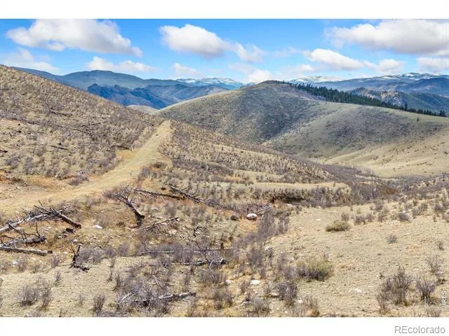 170 Little Bald Mountain Court Livermore, CO 80536
