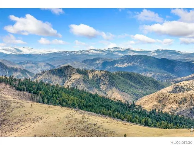 170 Little Bald Mountain Court Livermore, CO 80536