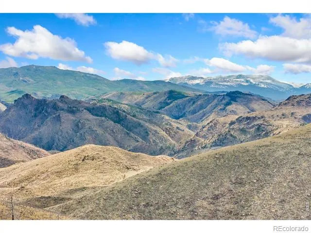 170 Little Bald Mountain Court Livermore, CO 80536