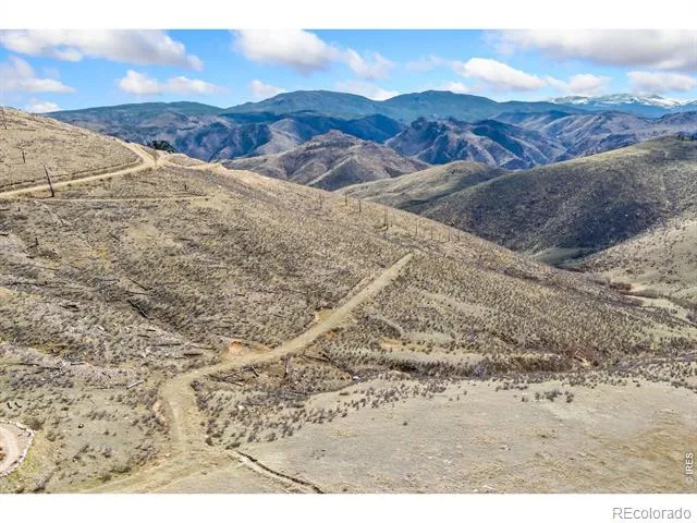 170 Little Bald Mountain Court Livermore, CO 80536
