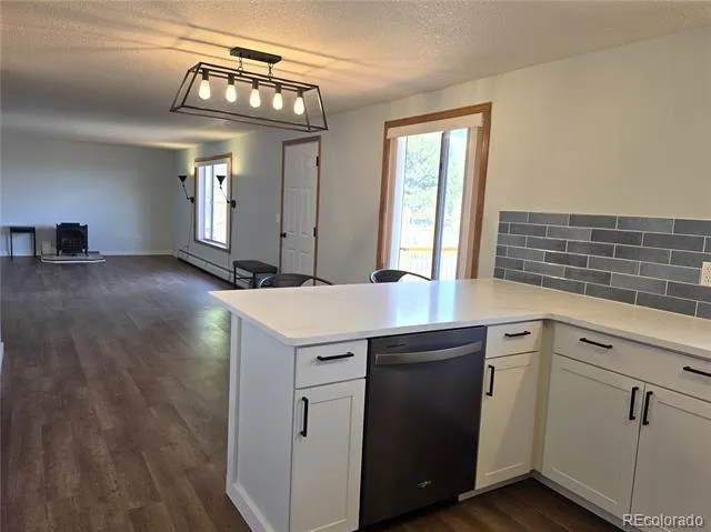 899 Concho Trail Hartsel, CO 80449