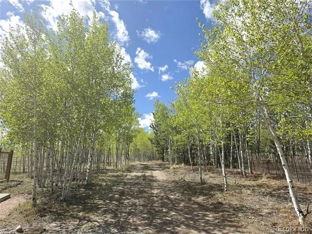 899 Concho Trail Hartsel, CO 80449