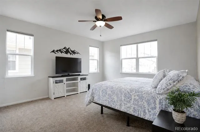 1017 Mircos Street Erie, CO 80516