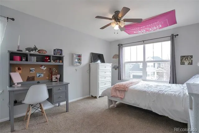 1017 Mircos Street Erie, CO 80516