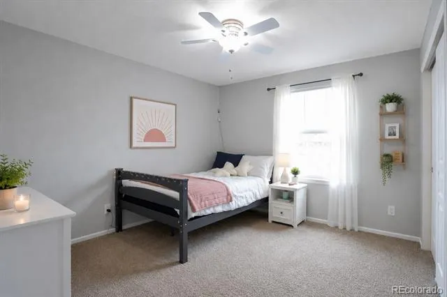 1017 Mircos Street Erie, CO 80516