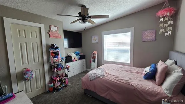 616 Narcisso Avenue Fort Garland, CO 81133