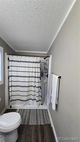 616 Narcisso Avenue Fort Garland, CO 81133