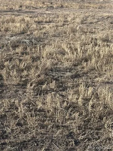 LOT 7 San Luis Valley Ranches Blanca, CO 81123
