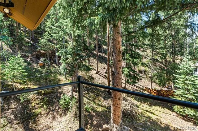 34038 Forest Estates Road Evergreen, CO 80439
