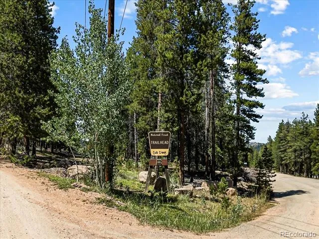 34038 Forest Estates Road Evergreen, CO 80439