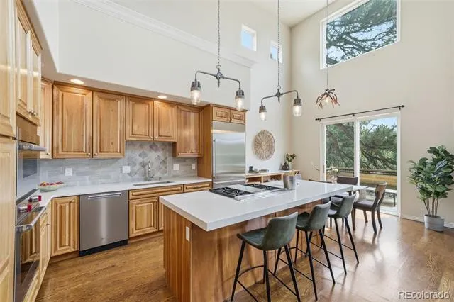 4205 Morning Star Drive Castle Rock, CO 80108