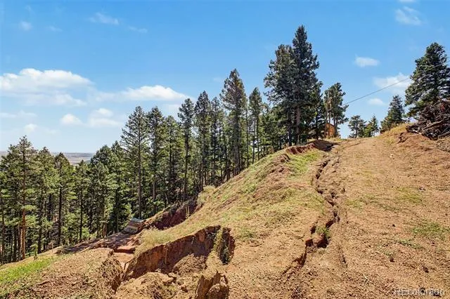 2199 Badger Drive Larkspur, CO 80118