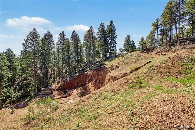 2199 Badger Drive Larkspur, CO 80118