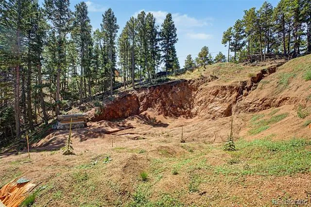 2199 Badger Drive Larkspur, CO 80118