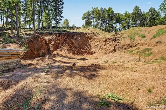 2199 Badger Drive Larkspur, CO 80118