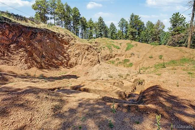 2199 Badger Drive Larkspur, CO 80118