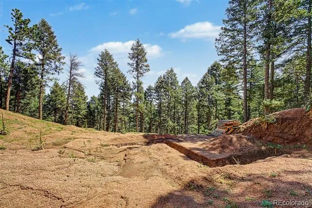 2199 Badger Drive Larkspur, CO 80118