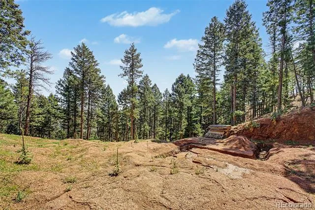 2199 Badger Drive Larkspur, CO 80118