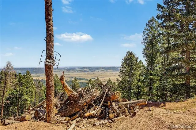 2199 Badger Drive Larkspur, CO 80118