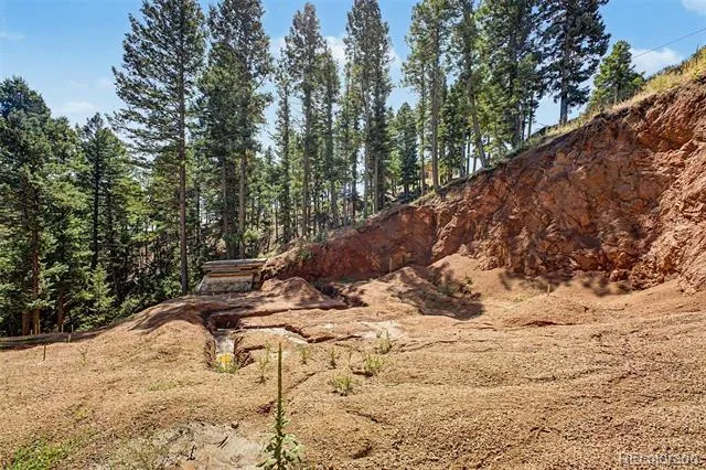 2199 Badger Drive Larkspur, CO 80118