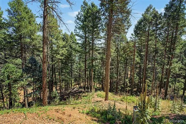 2199 Badger Drive Larkspur, CO 80118