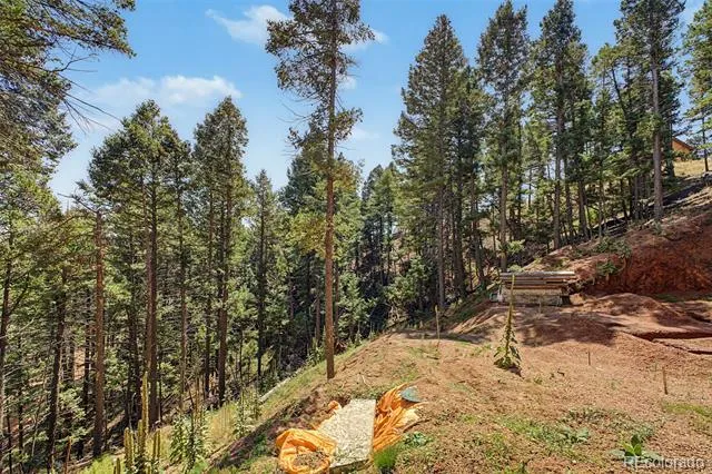 2199 Badger Drive Larkspur, CO 80118