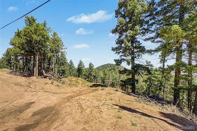 2199 Badger Drive Larkspur, CO 80118