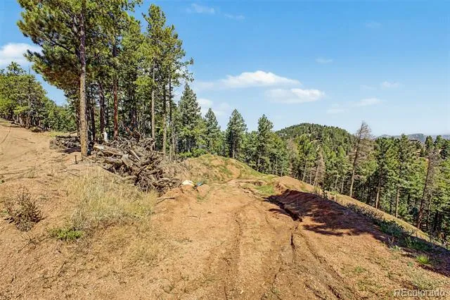 2199 Badger Drive Larkspur, CO 80118