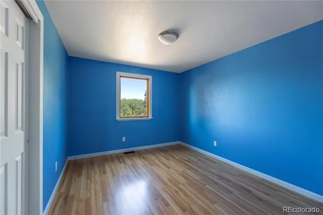 208 Elm Court Castle Rock, CO 80104