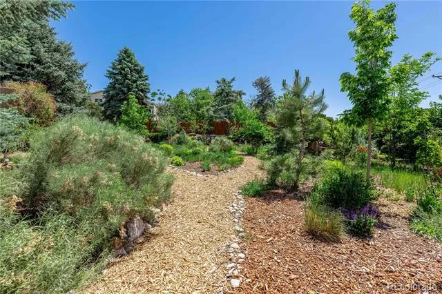 208 Elm Court Castle Rock, CO 80104