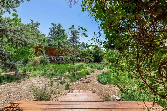 208 Elm Court Castle Rock, CO 80104