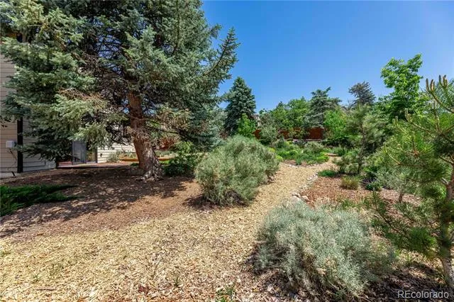 208 Elm Court Castle Rock, CO 80104