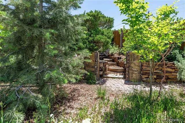 208 Elm Court Castle Rock, CO 80104