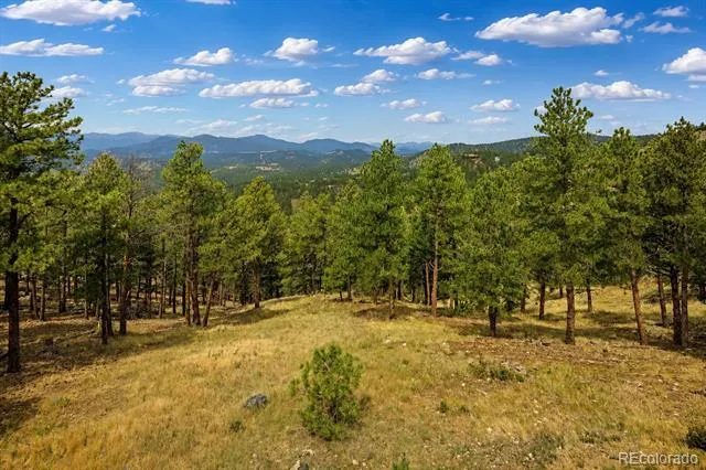 1893 Montane Drive Golden, CO 80401