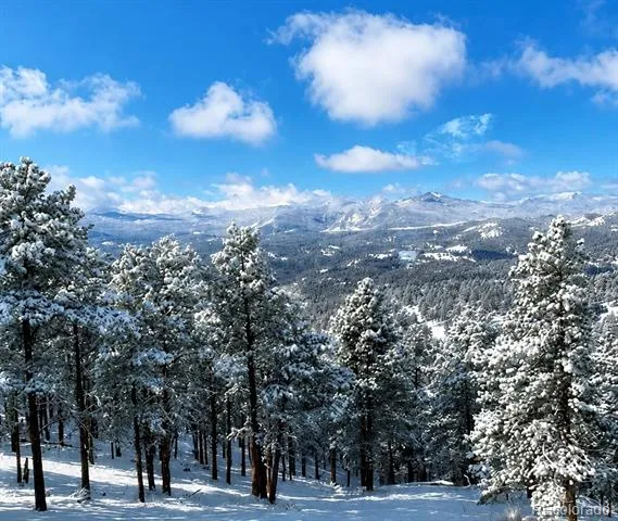 1893 Montane Drive Golden, CO 80401
