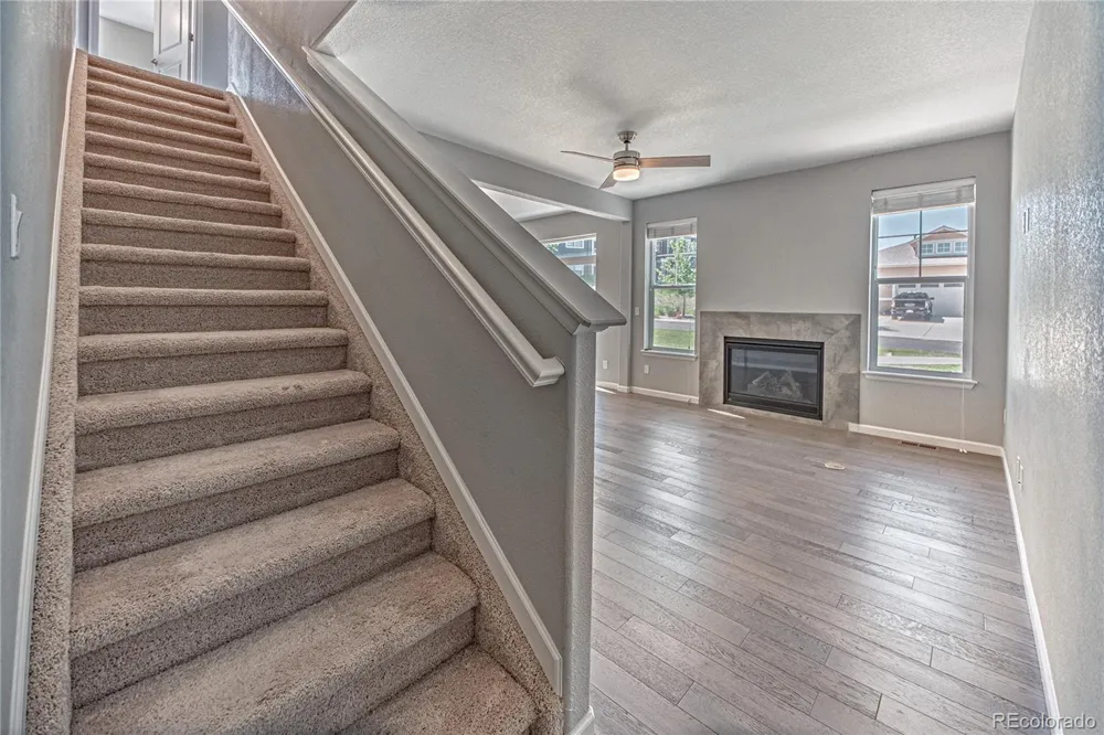 1306 Promontory Bluff View Colorado Springs, CO 80921