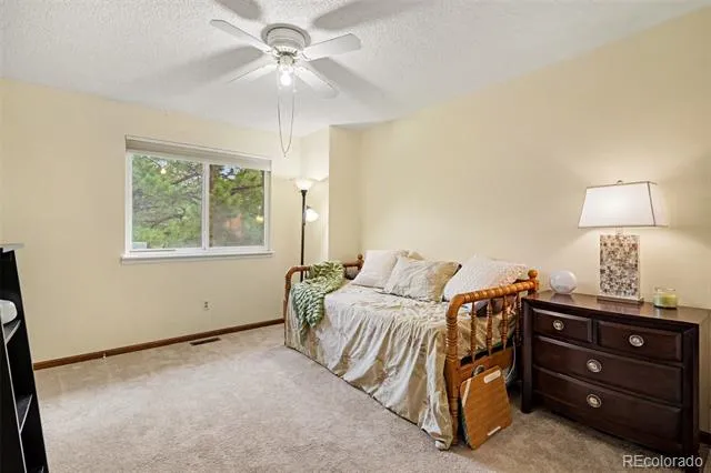 9381 Mcshane Court Parker, CO 80134