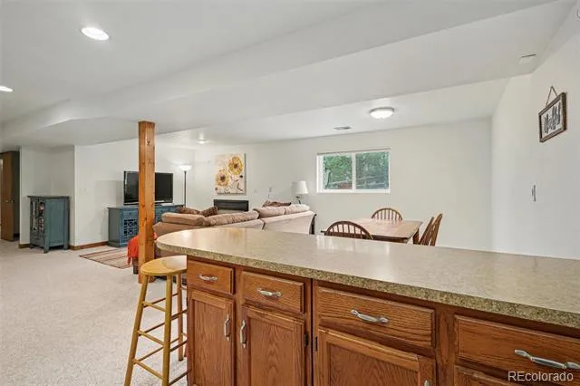 9381 Mcshane Court Parker, CO 80134