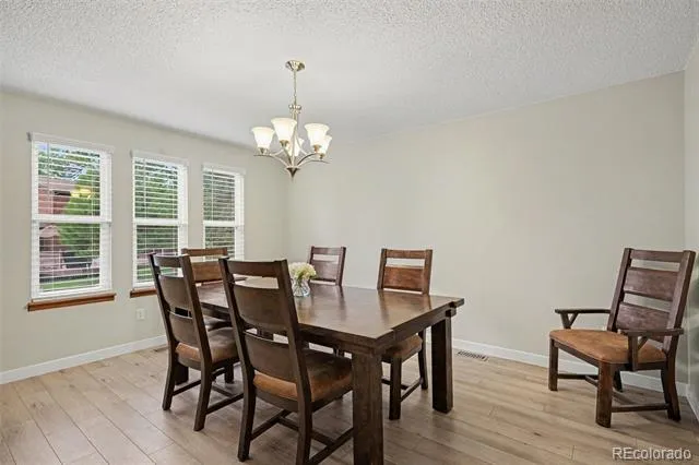 9381 Mcshane Court Parker, CO 80134