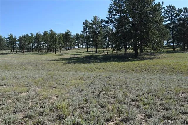 431 High Chateau Road Florissant, CO 80816