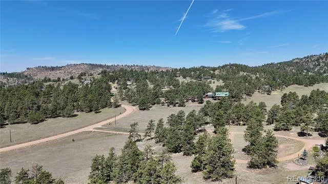 431 High Chateau Road Florissant, CO 80816